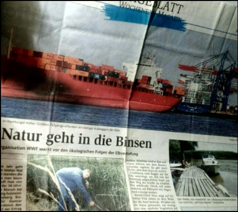 Stader Tageblatt 2008